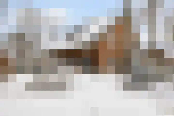 Schoolderserf 4 Bathmen thumbnail 25