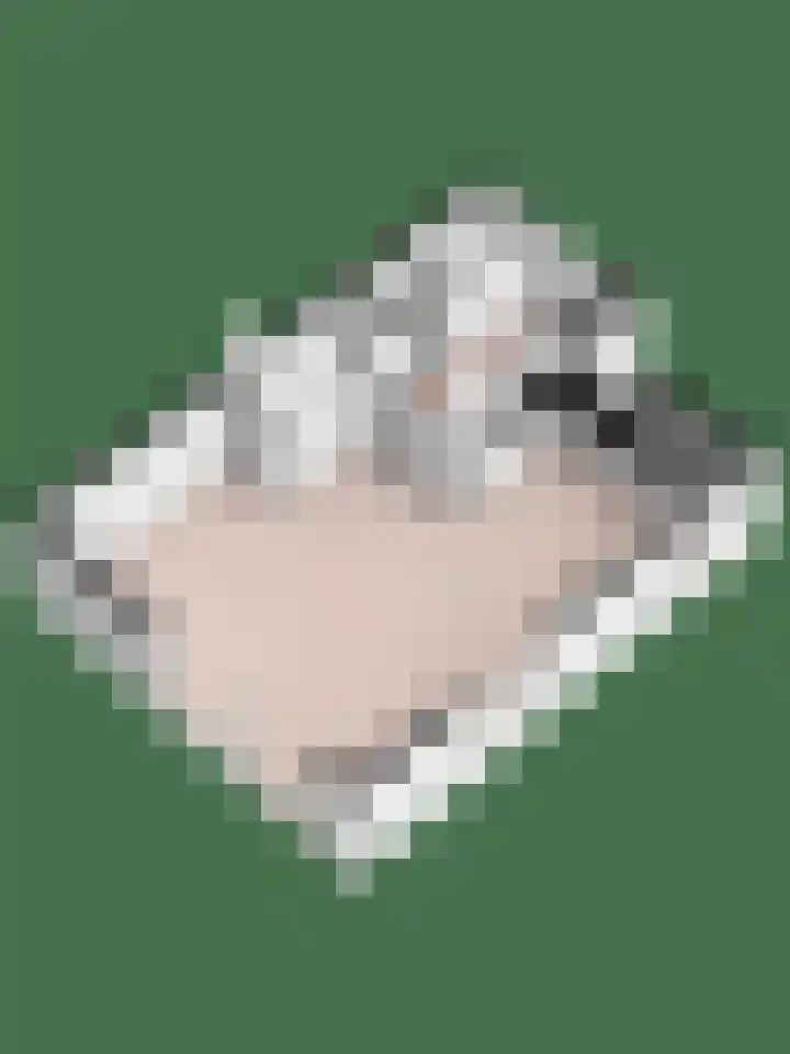 Schoolderserf 4 Bathmen thumbnail 33