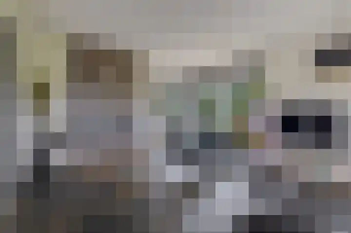 Schoolerve 13 Darp thumbnail 10