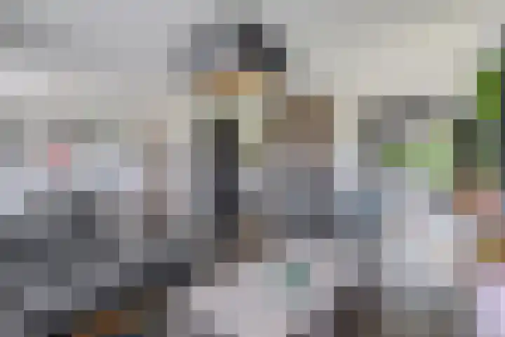 Schoolerve 13 Darp thumbnail 11
