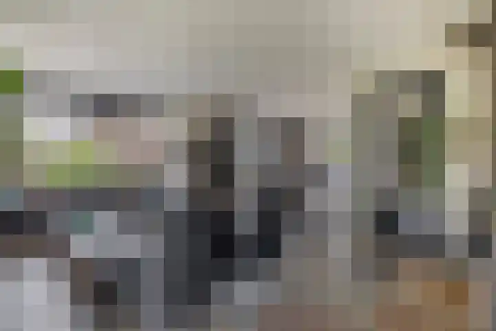 Schoolerve 13 Darp thumbnail 12