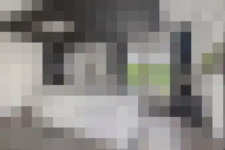 Schoolerve 13 Darp thumbnail 15