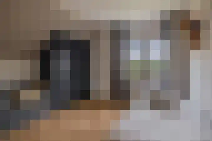 Schoolerve 13 Darp thumbnail 28