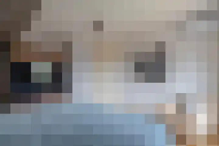 Schoolerve 13 Darp thumbnail 30