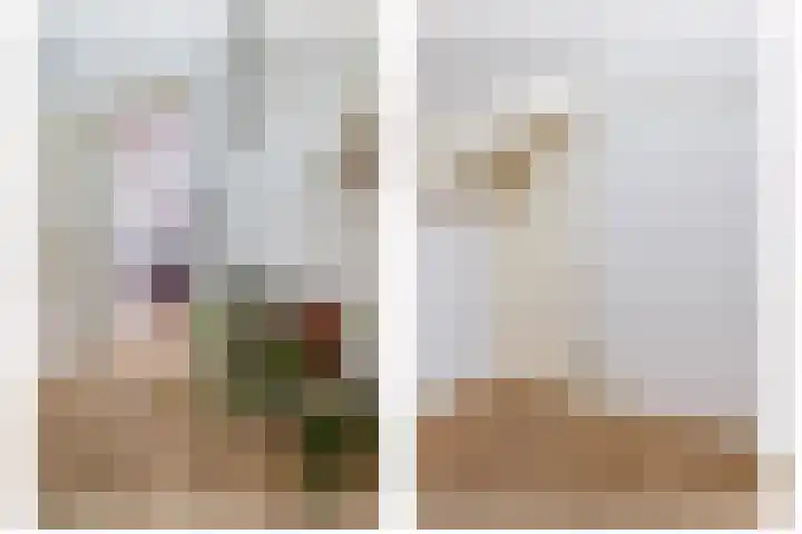 Schoolerve 13 Darp thumbnail 31