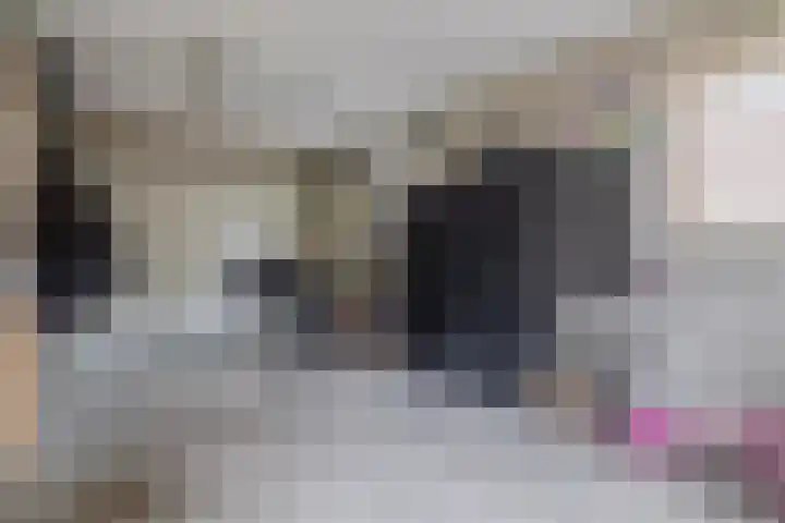 Schoolerve 13 Darp thumbnail 35
