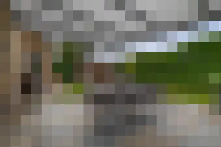 Schoolerve 13 Darp thumbnail 37