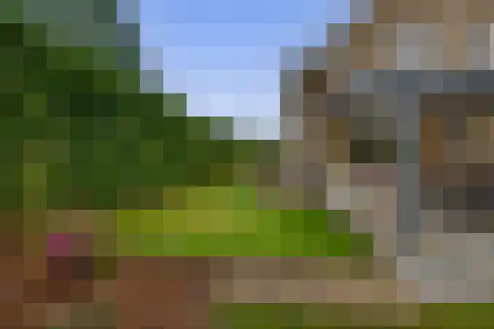 Schoolerve 13 Darp thumbnail 38