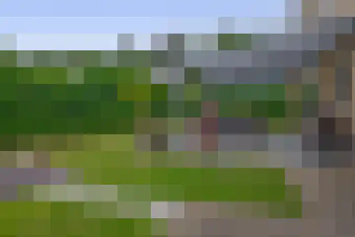 Schoolerve 13 Darp thumbnail 41