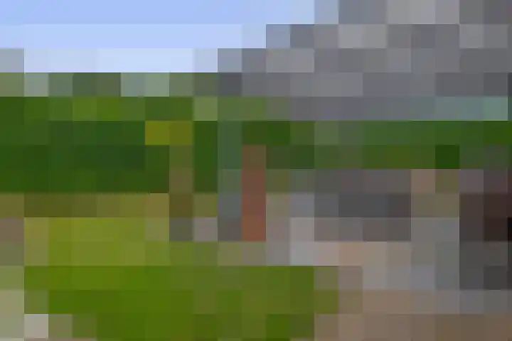 Schoolerve 13 Darp thumbnail 42