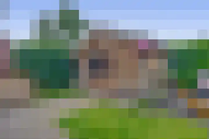 Schoolerve 13 Darp thumbnail 44