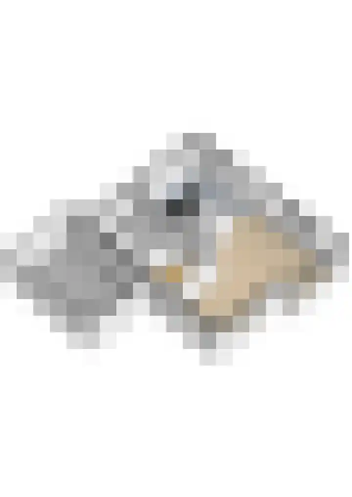 Schoolerve 13 Darp thumbnail 52