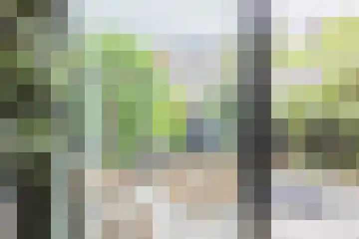 Schoolkade 6 Assendelft thumbnail 17