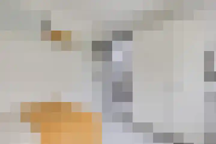 Schoolkade 6 Assendelft thumbnail 27