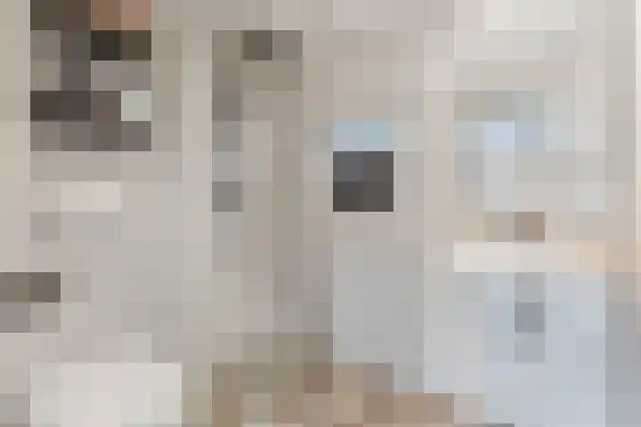 Schoolkade 6 Assendelft thumbnail 31
