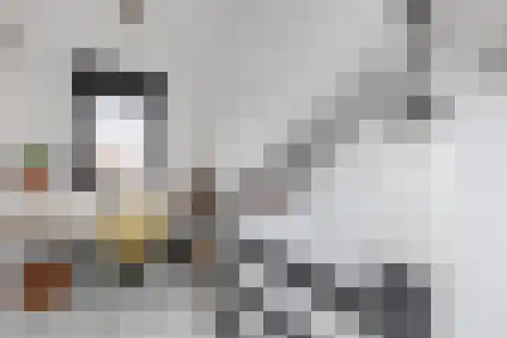 Schoolkade 6 Assendelft thumbnail 37