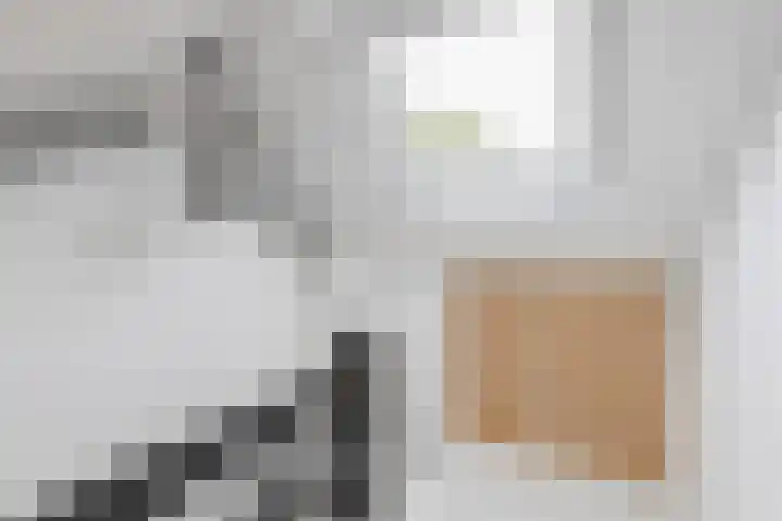 Schoolkade 6 Assendelft thumbnail 38