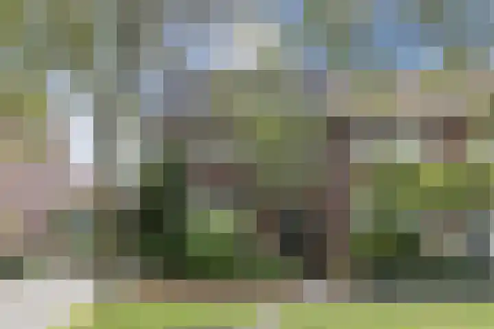 Schoolkade 6 Assendelft thumbnail 48