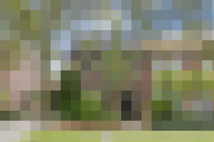 Schoolkade 6 Assendelft thumbnail 49