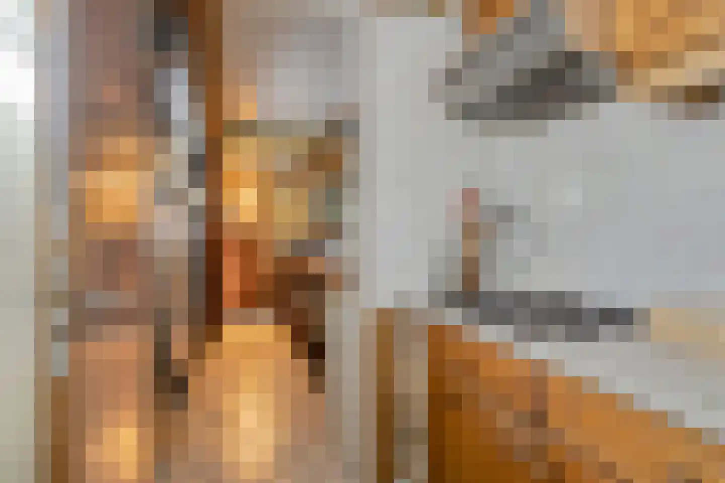 Schoolpad 1 Noordscheschut thumbnail 52