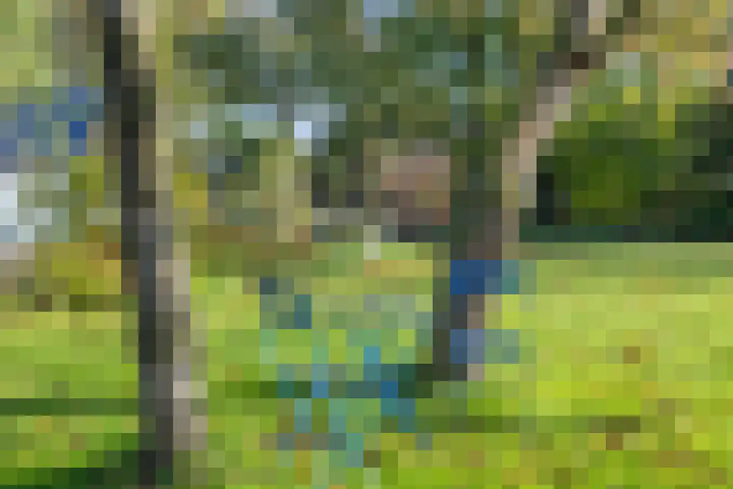 Schoolpad 1 Noordscheschut thumbnail 77