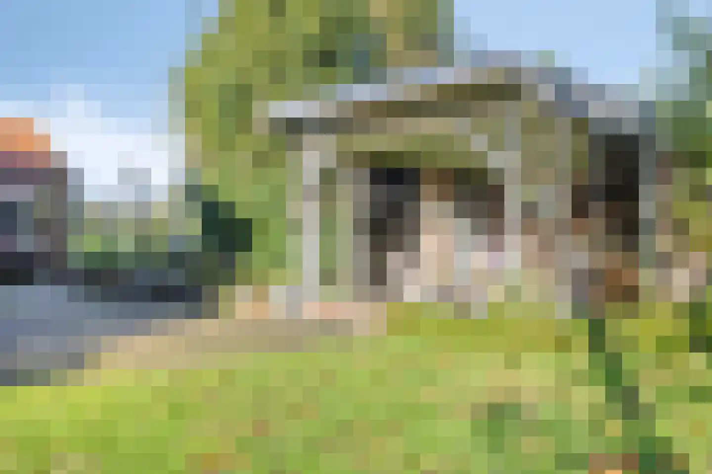 Schoolpad 1 Noordscheschut thumbnail 78