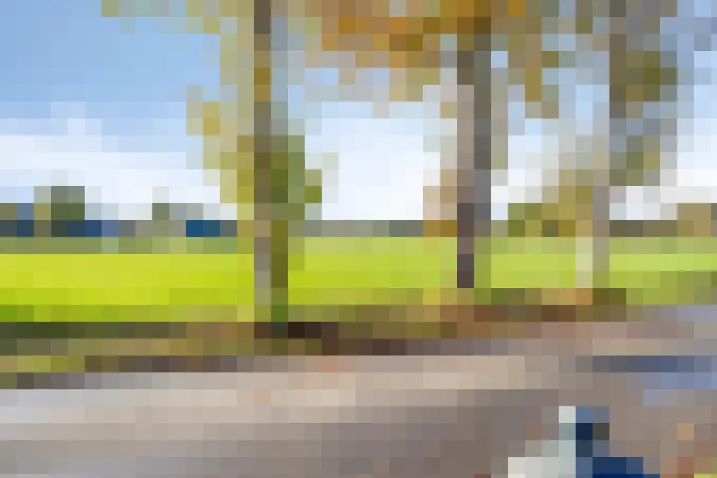 Schoolpad 1 Noordscheschut thumbnail 79