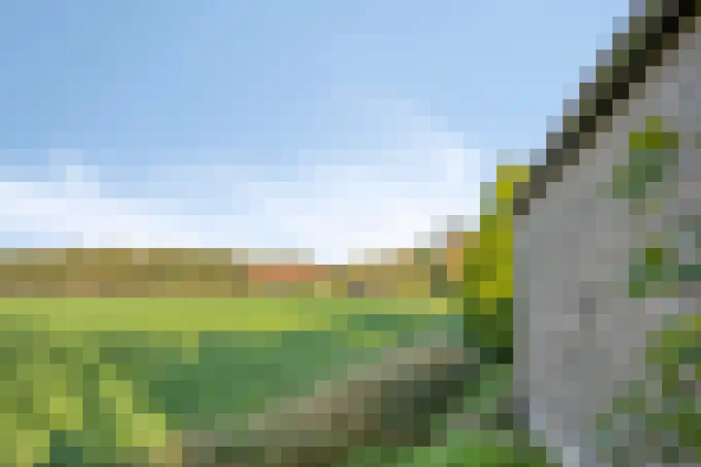 Schoolpad 1 Noordscheschut thumbnail 80