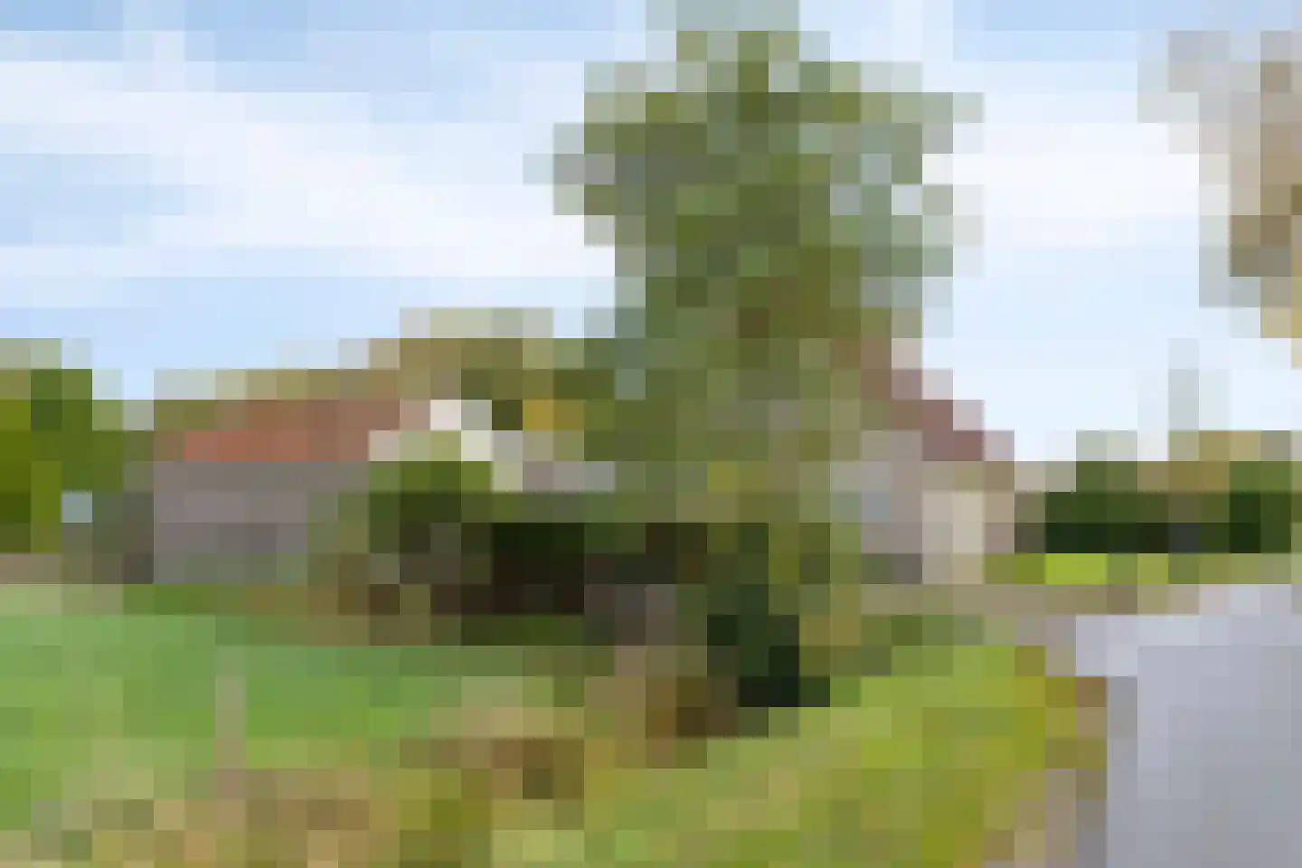 Schoolpad 1 Noordscheschut thumbnail 87