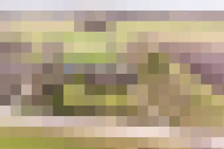 Schoolpad 15 Uddel thumbnail 30