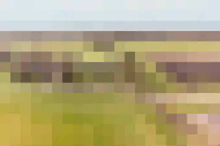 Schoolpad 15 Uddel thumbnail 31