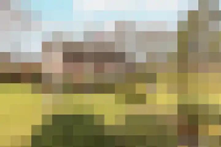 Schoolpad 15 Uddel thumbnail 5