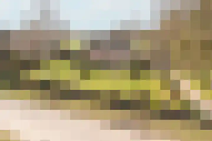 Schoolpad 15 Uddel thumbnail 6