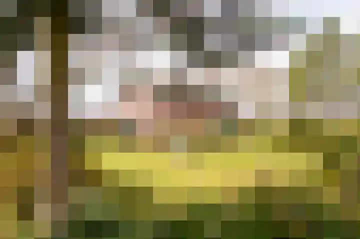 Schoolpad 15 Uddel thumbnail 7