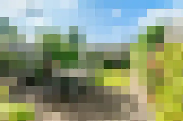 Schoolpad 15 Weesp thumbnail 18