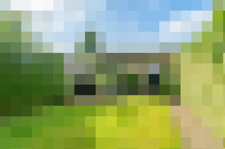 Schoolpad 15 Weesp thumbnail 20