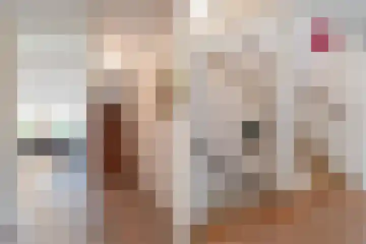 Schoolpad 15 Weesp thumbnail 24