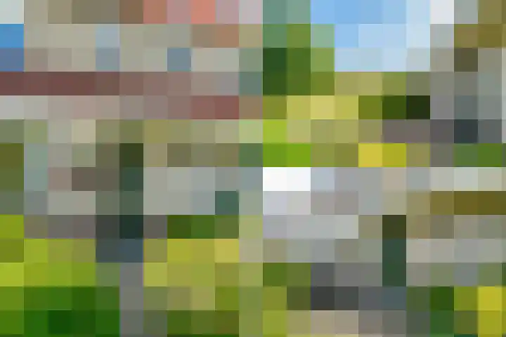 Schoolpad 15 Weesp thumbnail 42