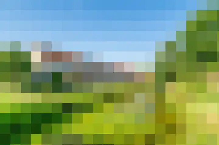 Schoolpad 15 Weesp thumbnail 43