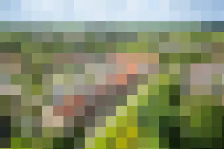 Schoolpad 15 Weesp thumbnail 46