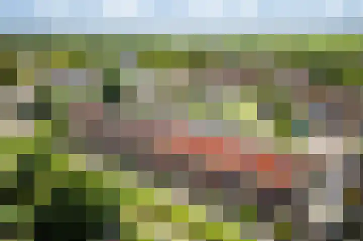 Schoolpad 15 Weesp thumbnail 47
