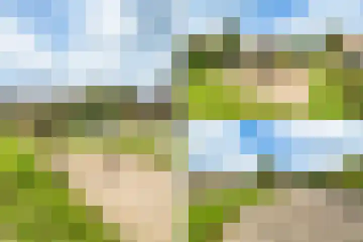 Schoolpad 15 Weesp thumbnail 49