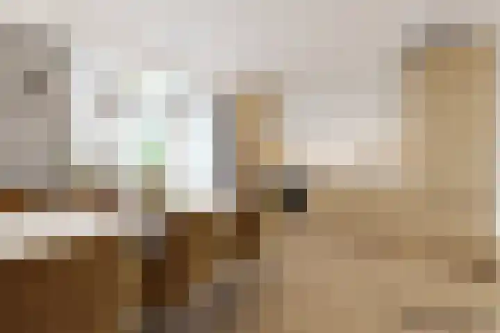 Schoolpad 4 Zaandijk thumbnail 15