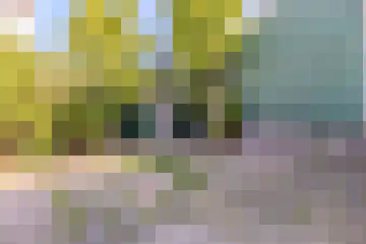 Schoolpad 4 Zaandijk thumbnail 19