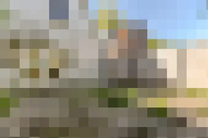 Schoolpad 4 Zaandijk thumbnail 21