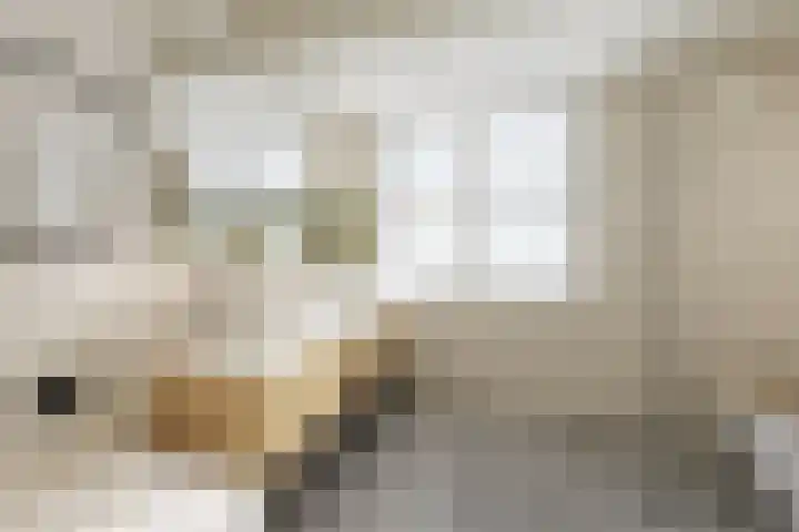 Schoolpad 4 Zaandijk thumbnail 38