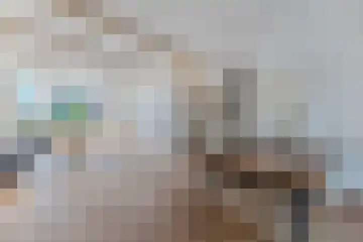 Schoolpad 4 Zaandijk thumbnail 9