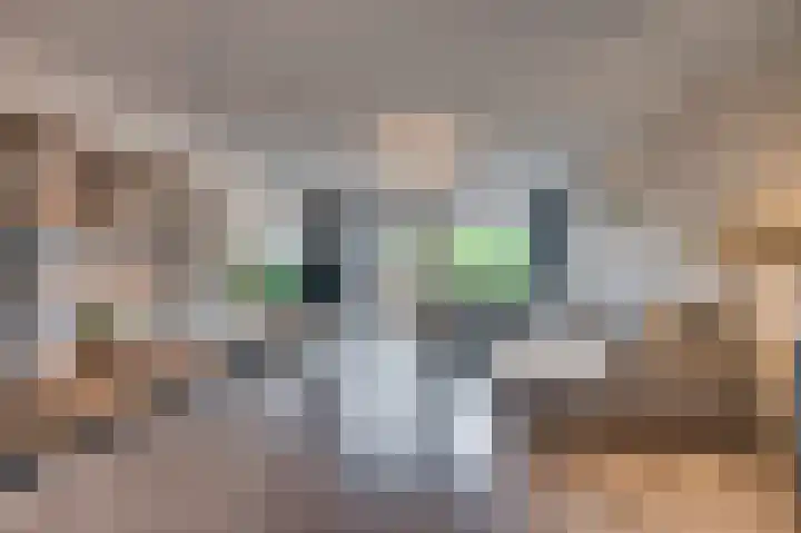 Schoolpad 50 Roermond thumbnail 13