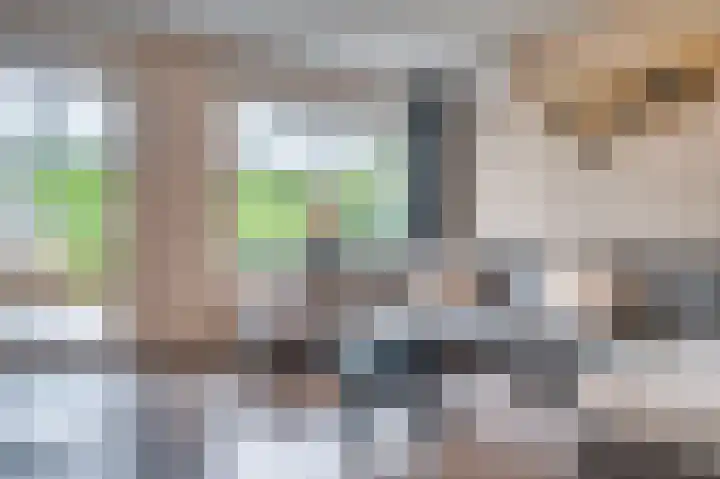 Schoolpad 50 Roermond thumbnail 15