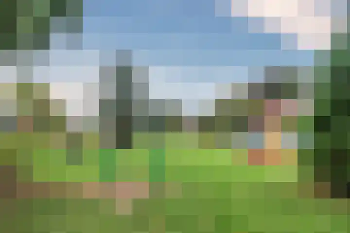 Schoolpad 50 Roermond thumbnail 56